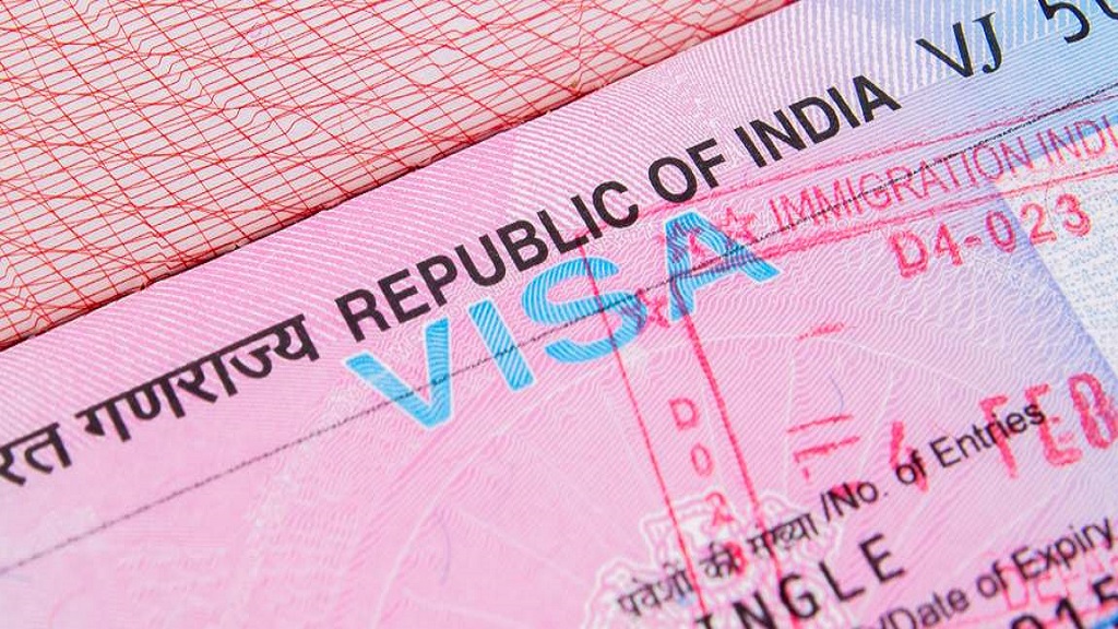How much is visa from Nigeria to India in Naira